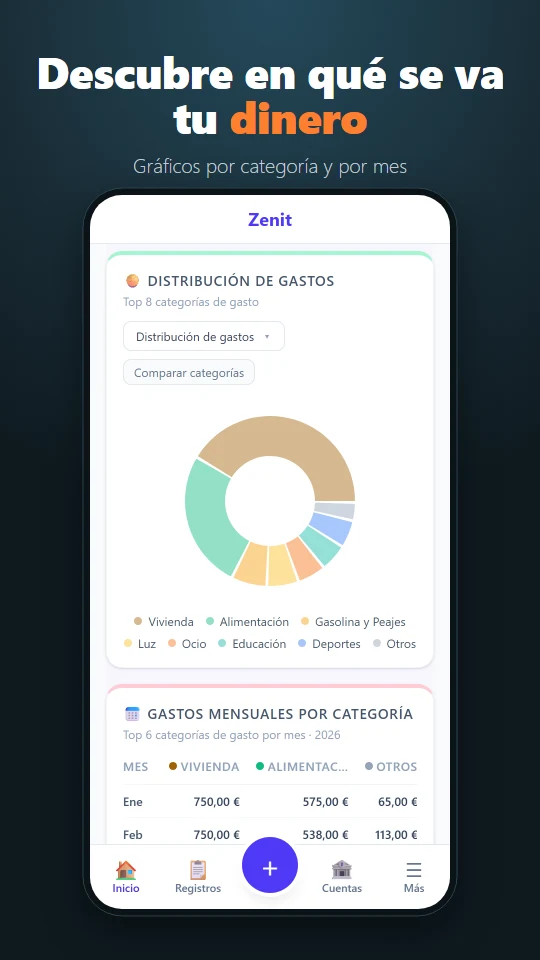 Gráficos de distribución de gastos y gastos mensuales por categoría